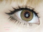 Dolly Eye - Puffy 3 Tones Brown