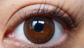 Brown Contact Lenses - GEO - BC101